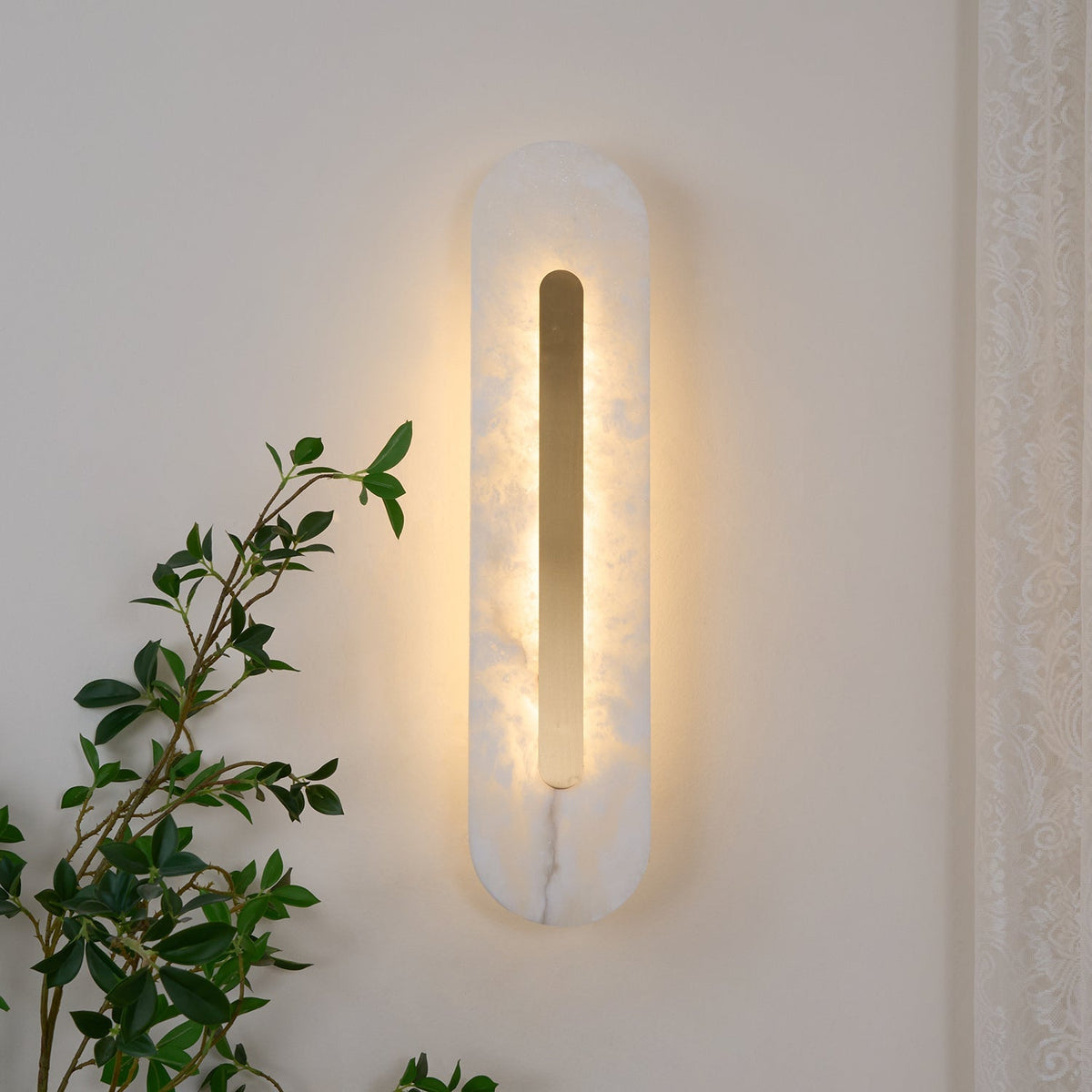 Gaze Rounded Wall Light