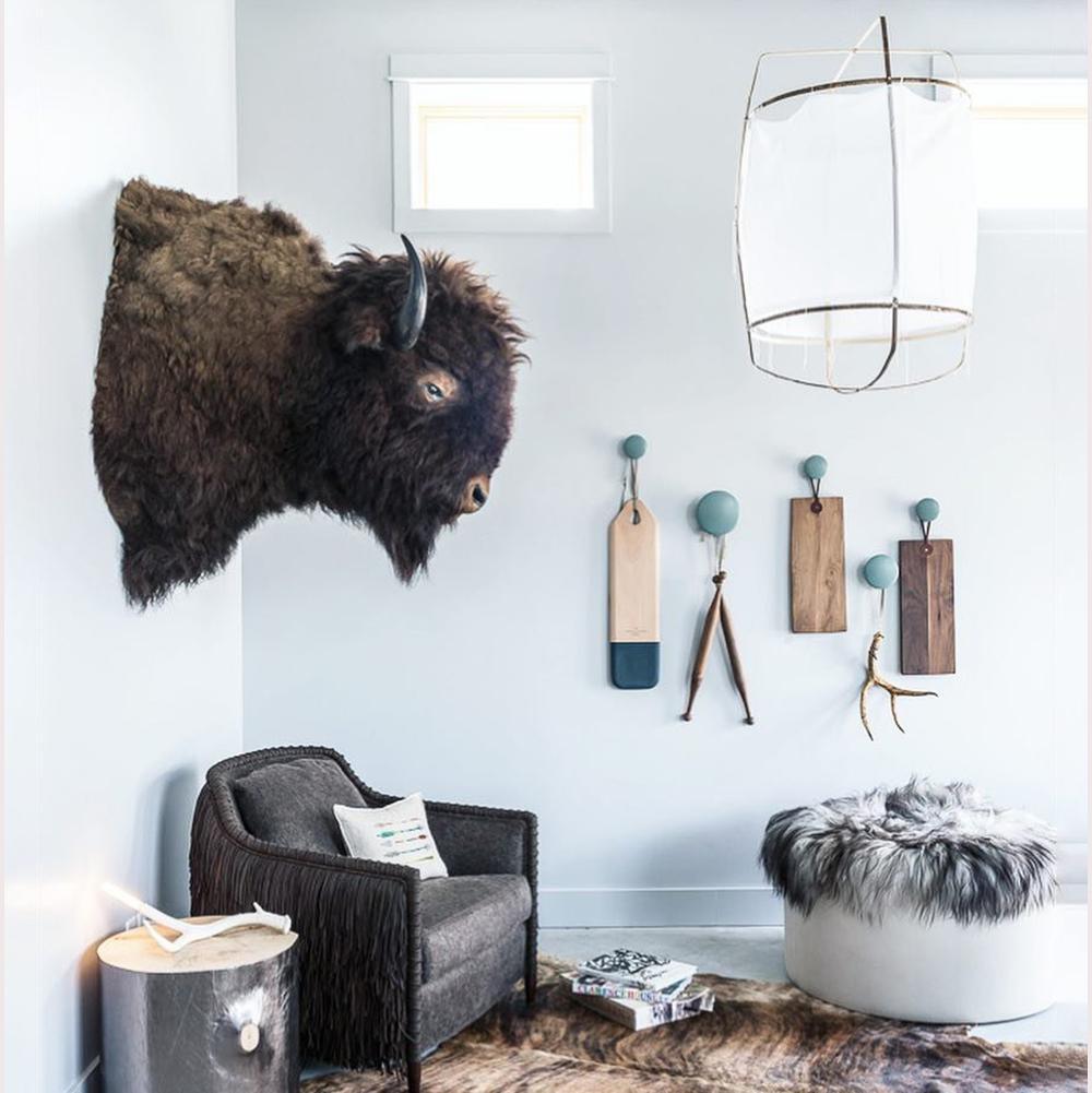 Kodonar Pendant Light