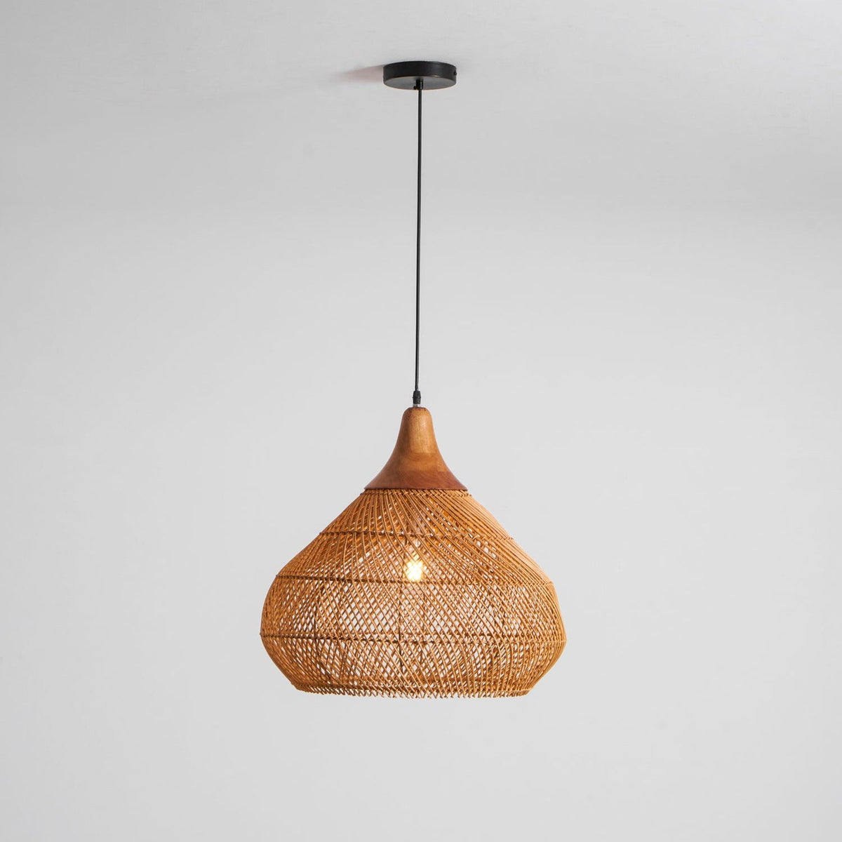 Ricaya Pendant Light