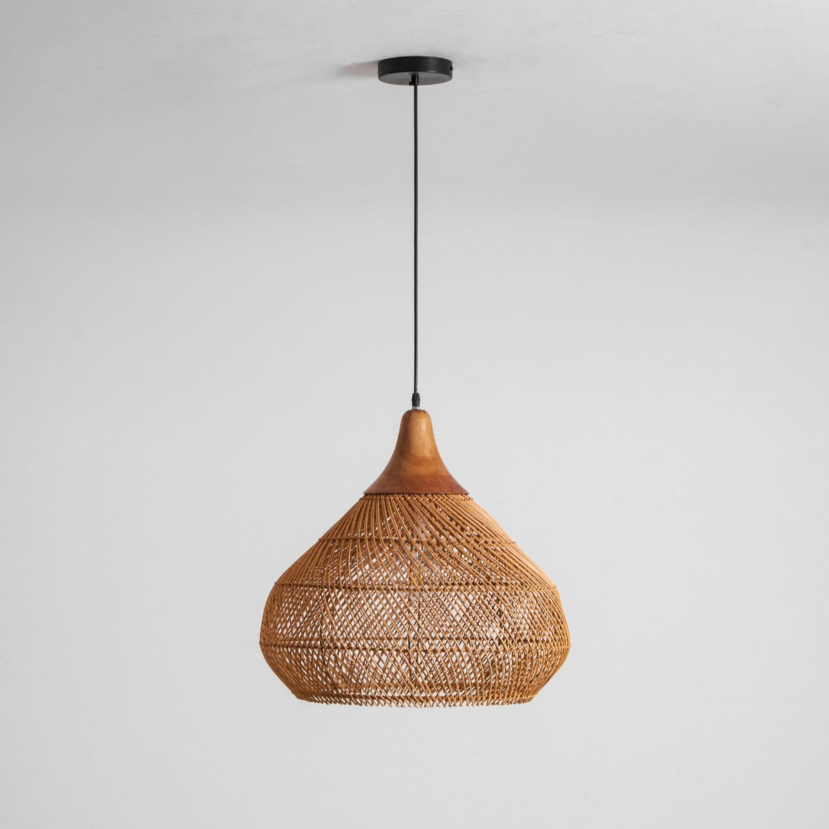 Ricaya Pendant Light