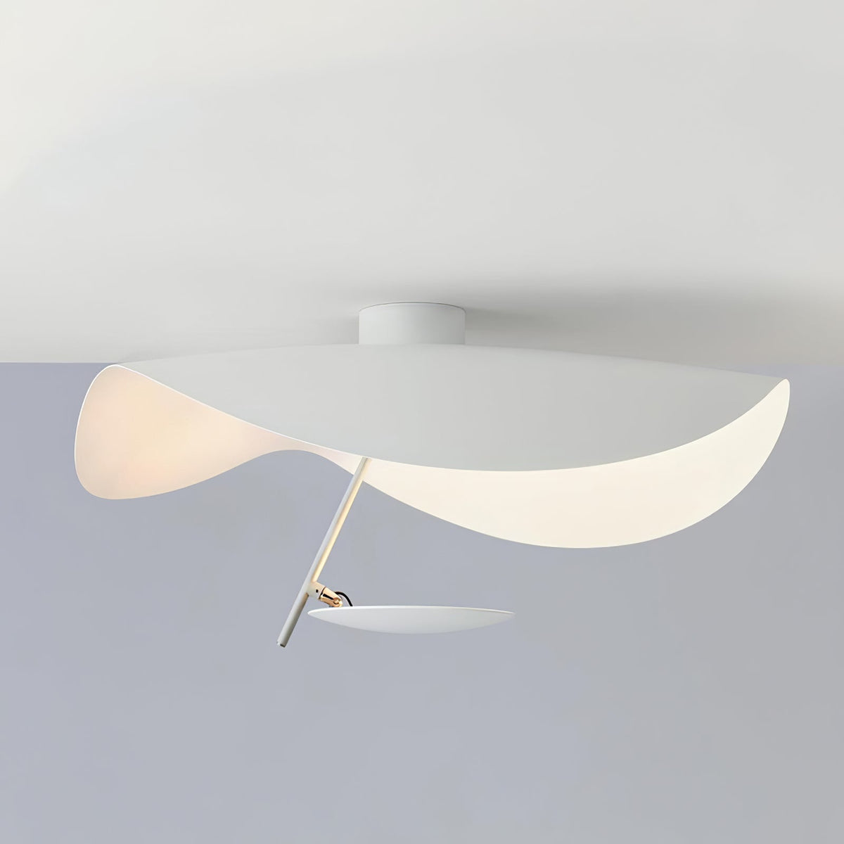Rokoler Sculptural Ceiling Light