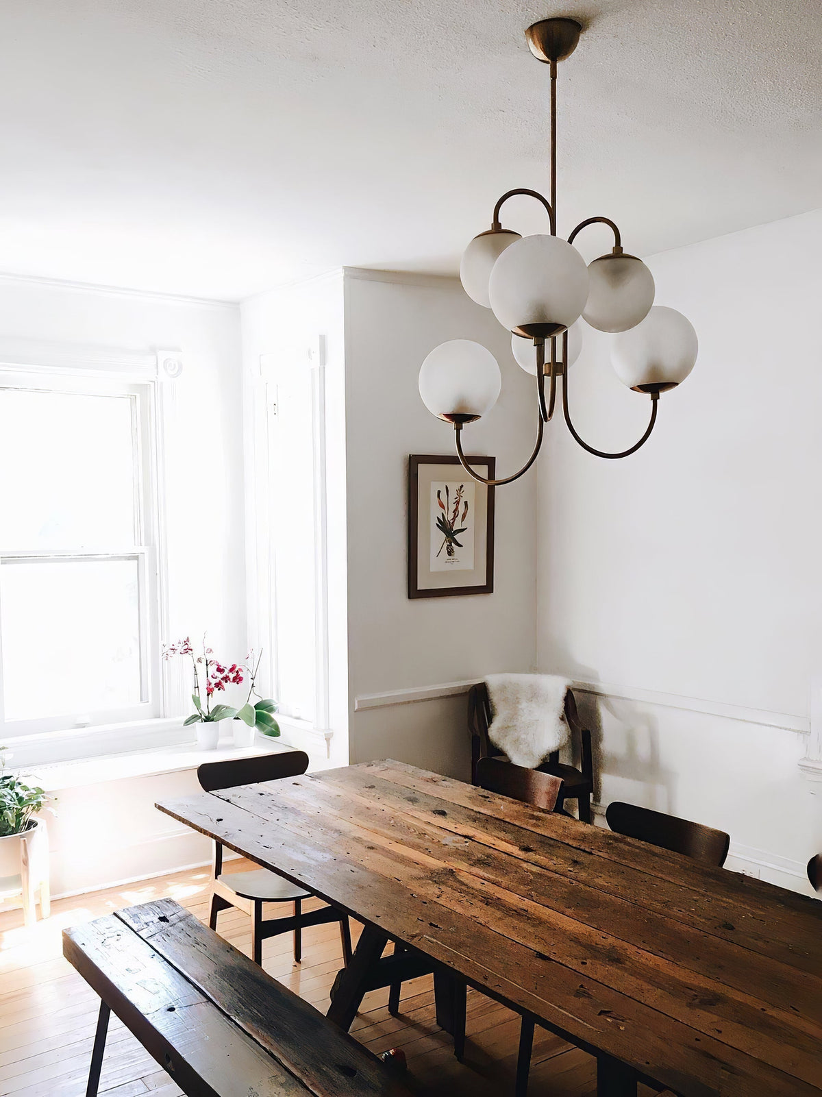 Crokivan Globe Chandelier