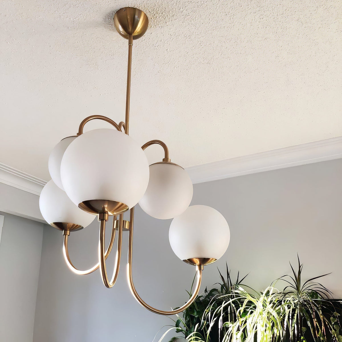 Crokivan Globe Chandelier
