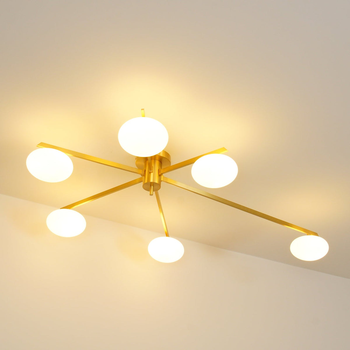 Crarra Modern Ceiling Light