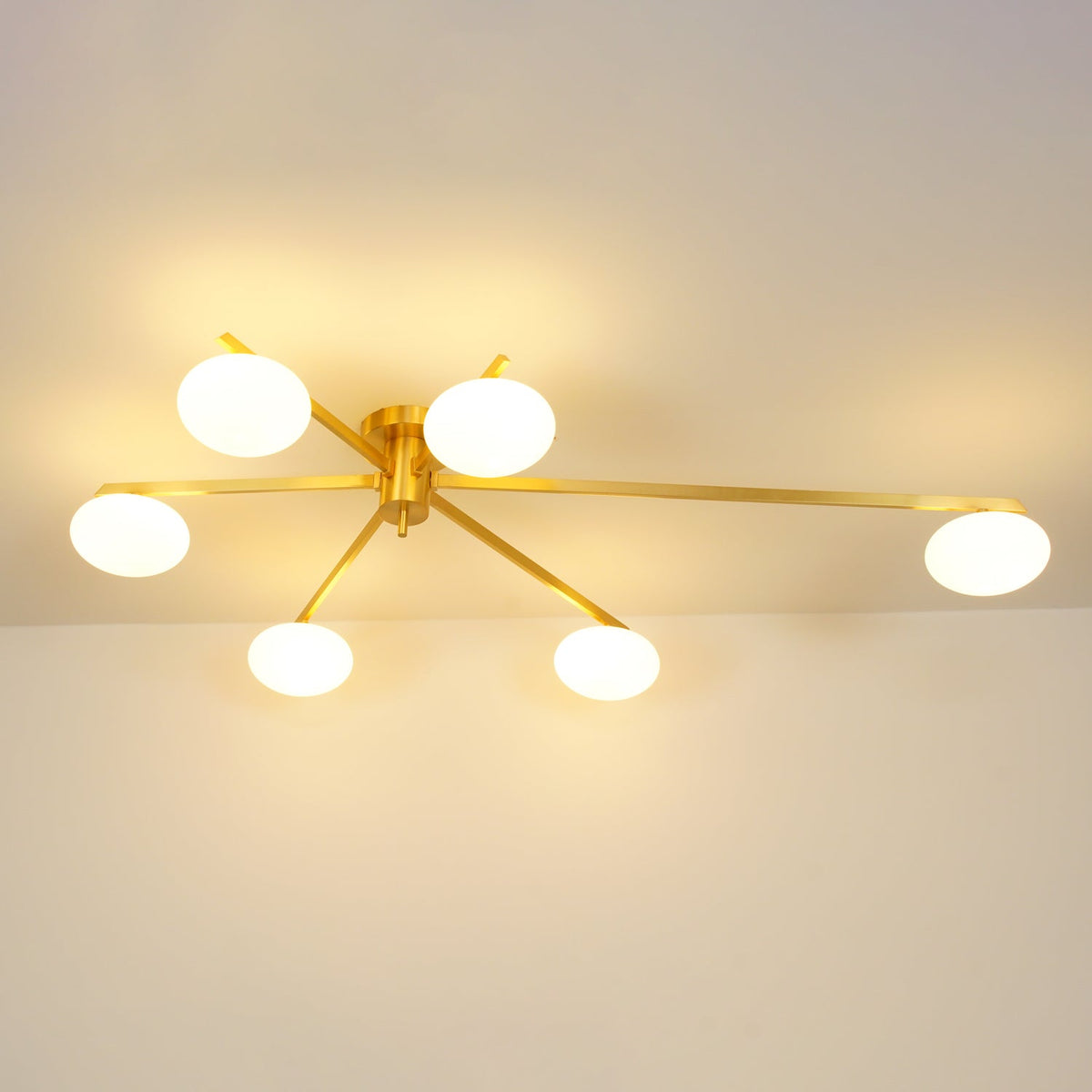 Crarra Modern Ceiling Light