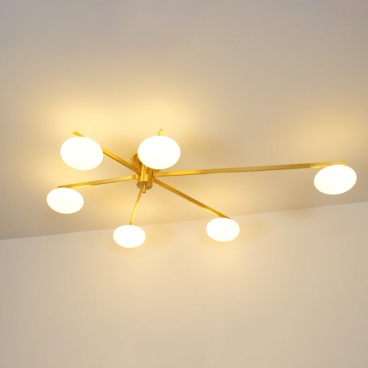 Crarra Modern Ceiling Light
