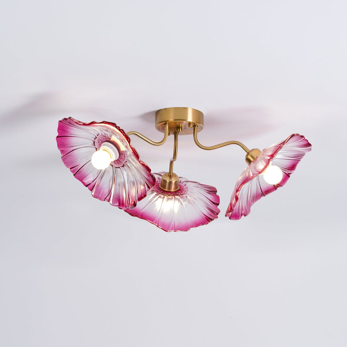 Plavatom Ceiling Light