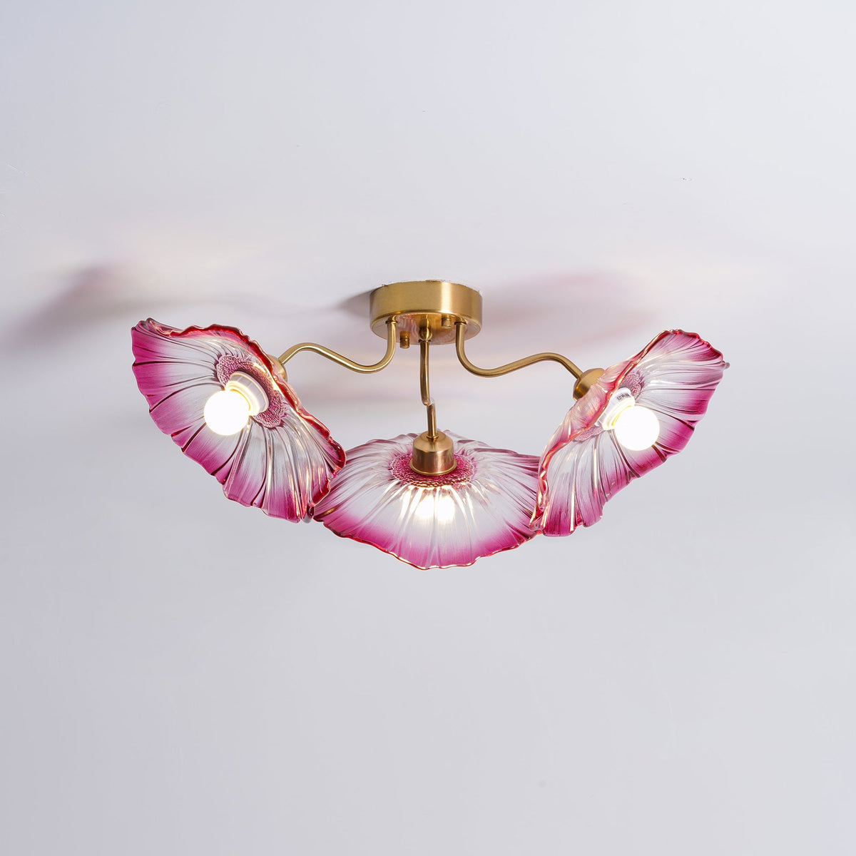 Plavatom Ceiling Light