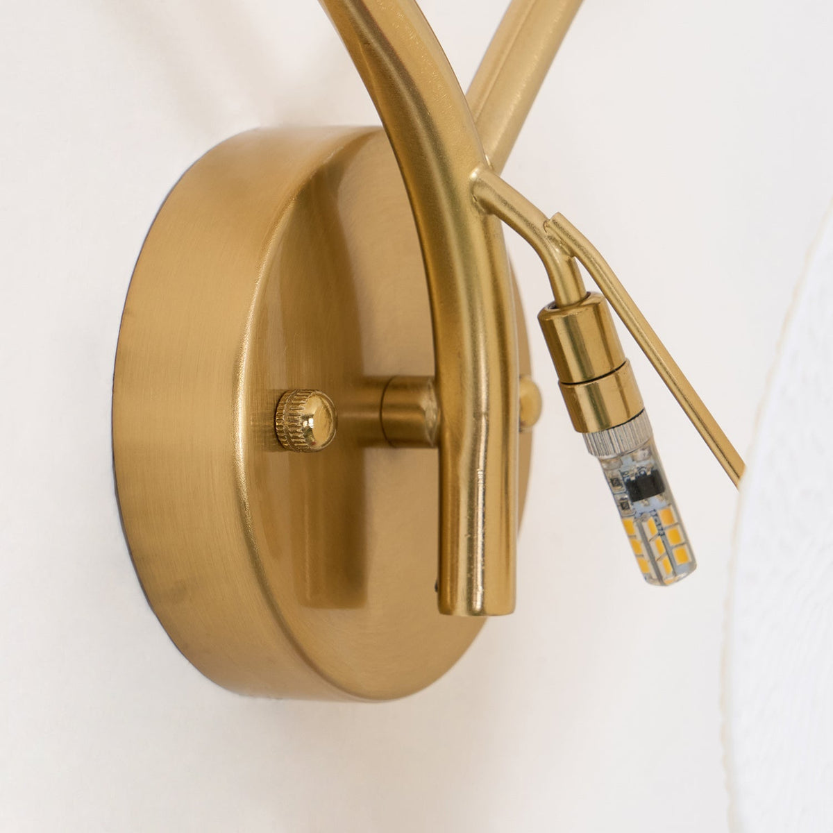 Dralan Lotus Wall Light