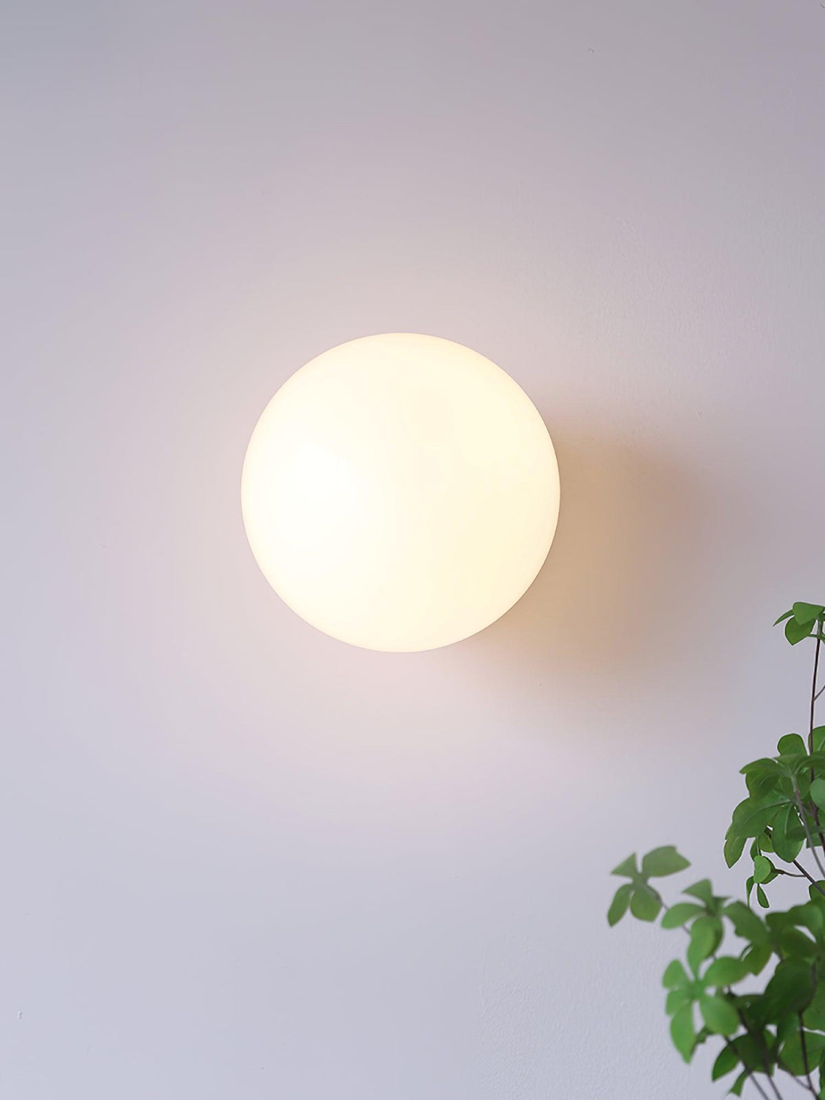 Pilenala Round Wall Light