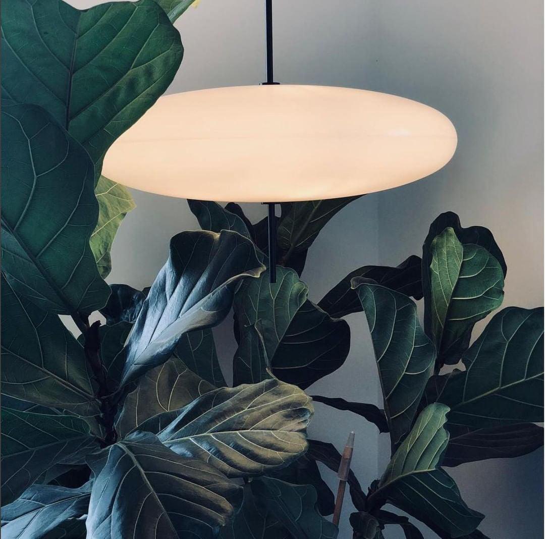 Davormi Minimalist Pendant Light