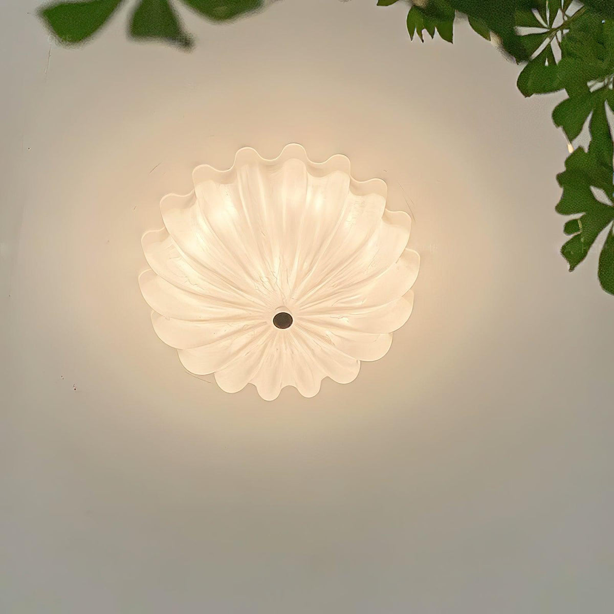 Chumi Round Ceiling Light