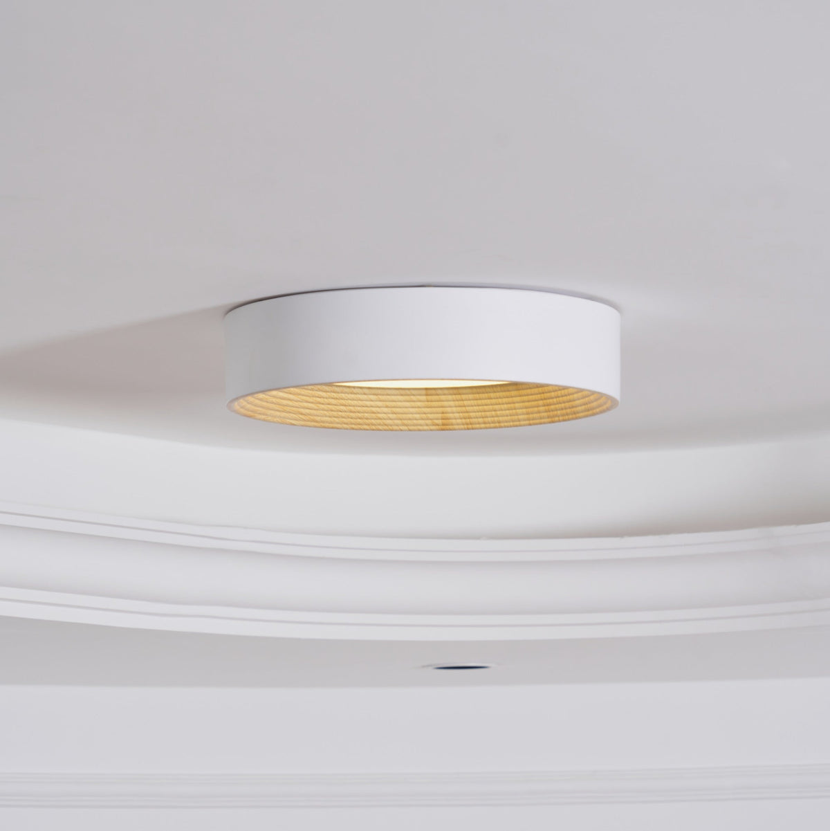 Vipesana Round Ceiling Light