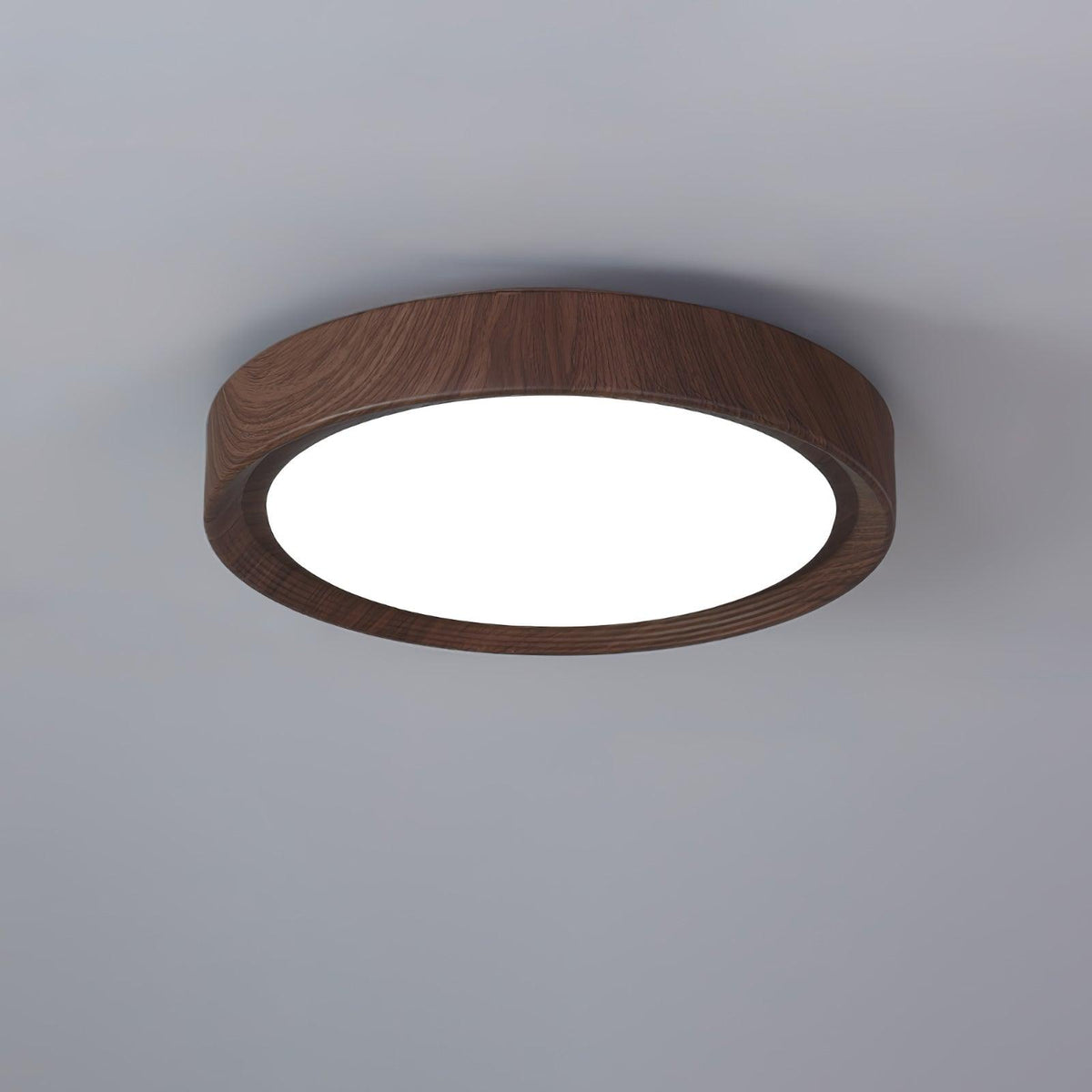 Stevo Outdoor Round Ceiling Light