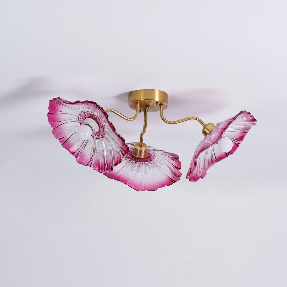 Plavatom Ceiling Light