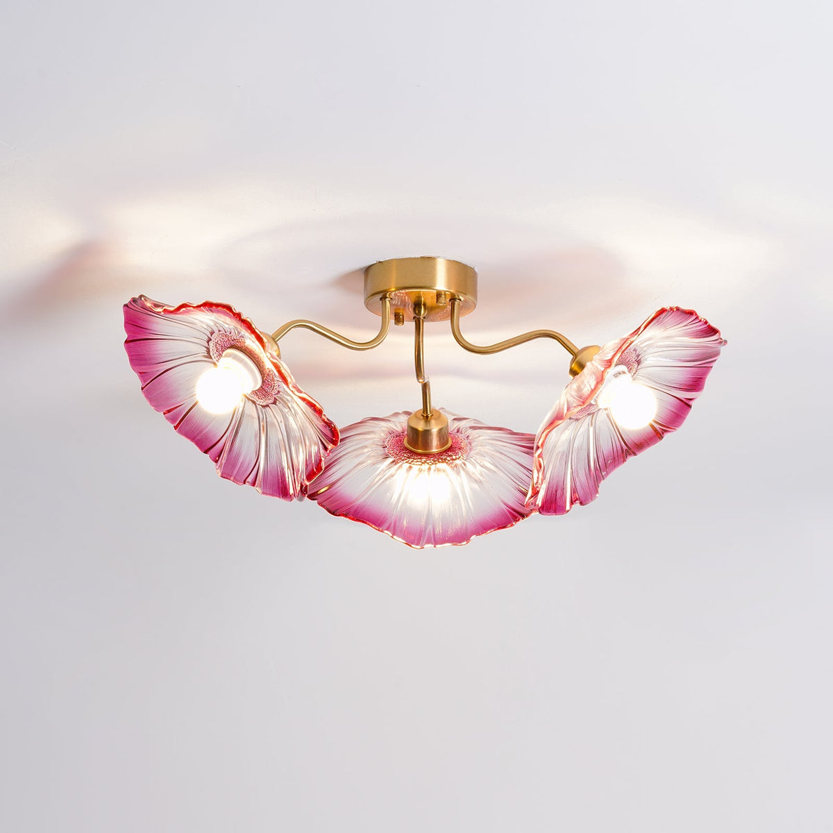 Plavatom Ceiling Light