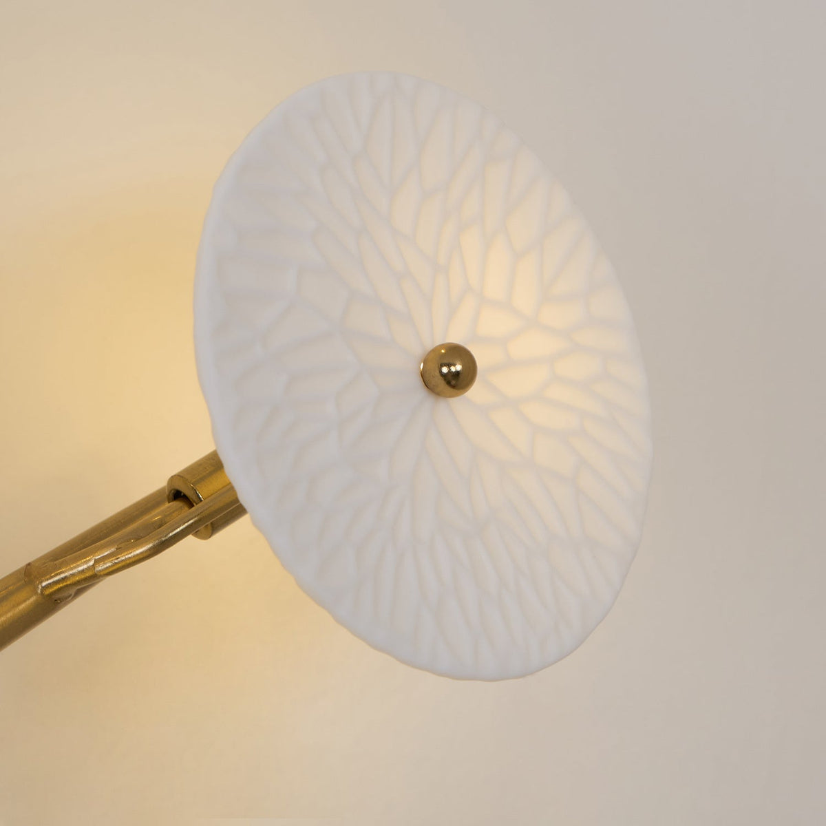 Dralan Lotus Wall Light