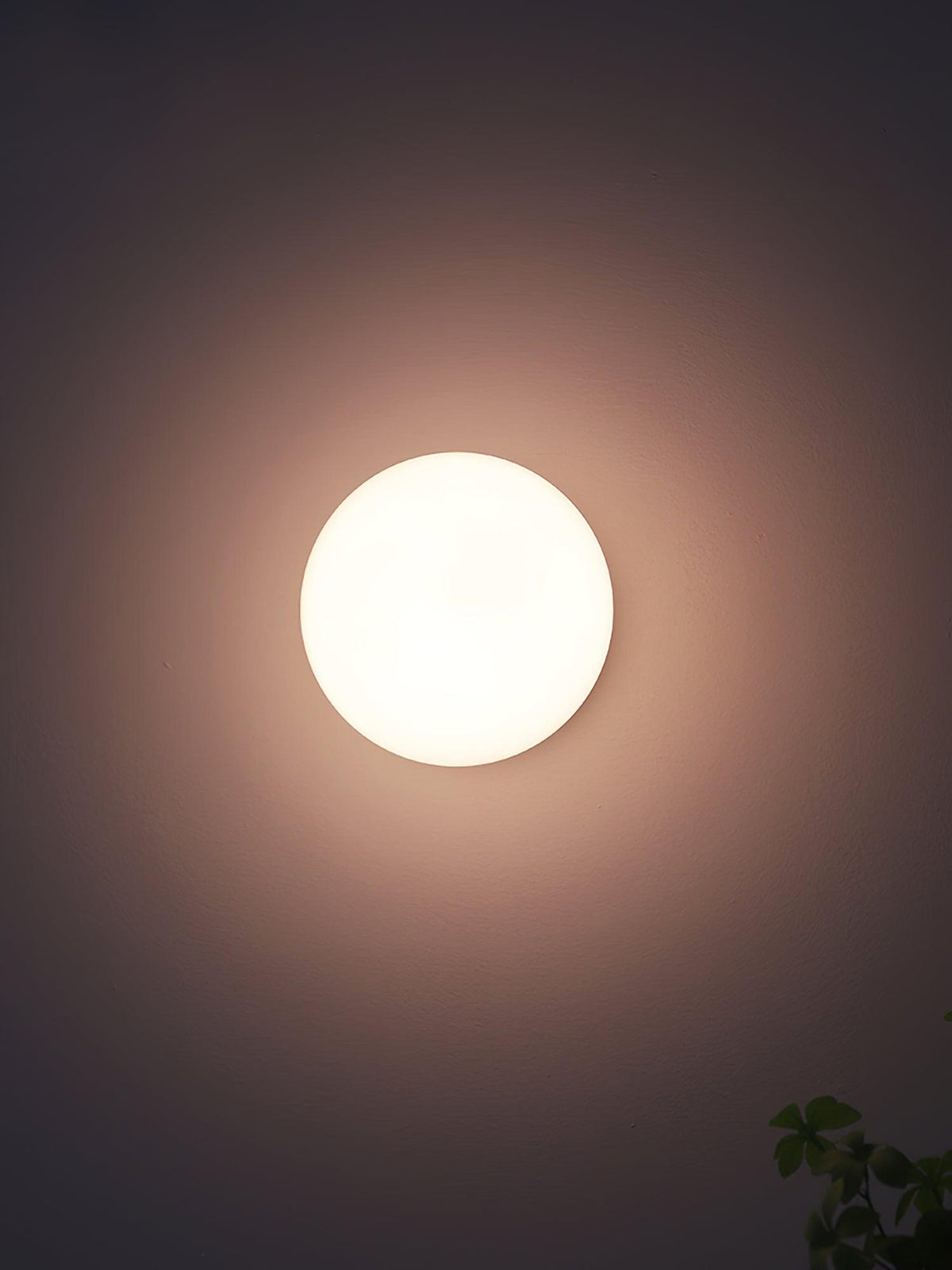 Pilenala Round Wall Light