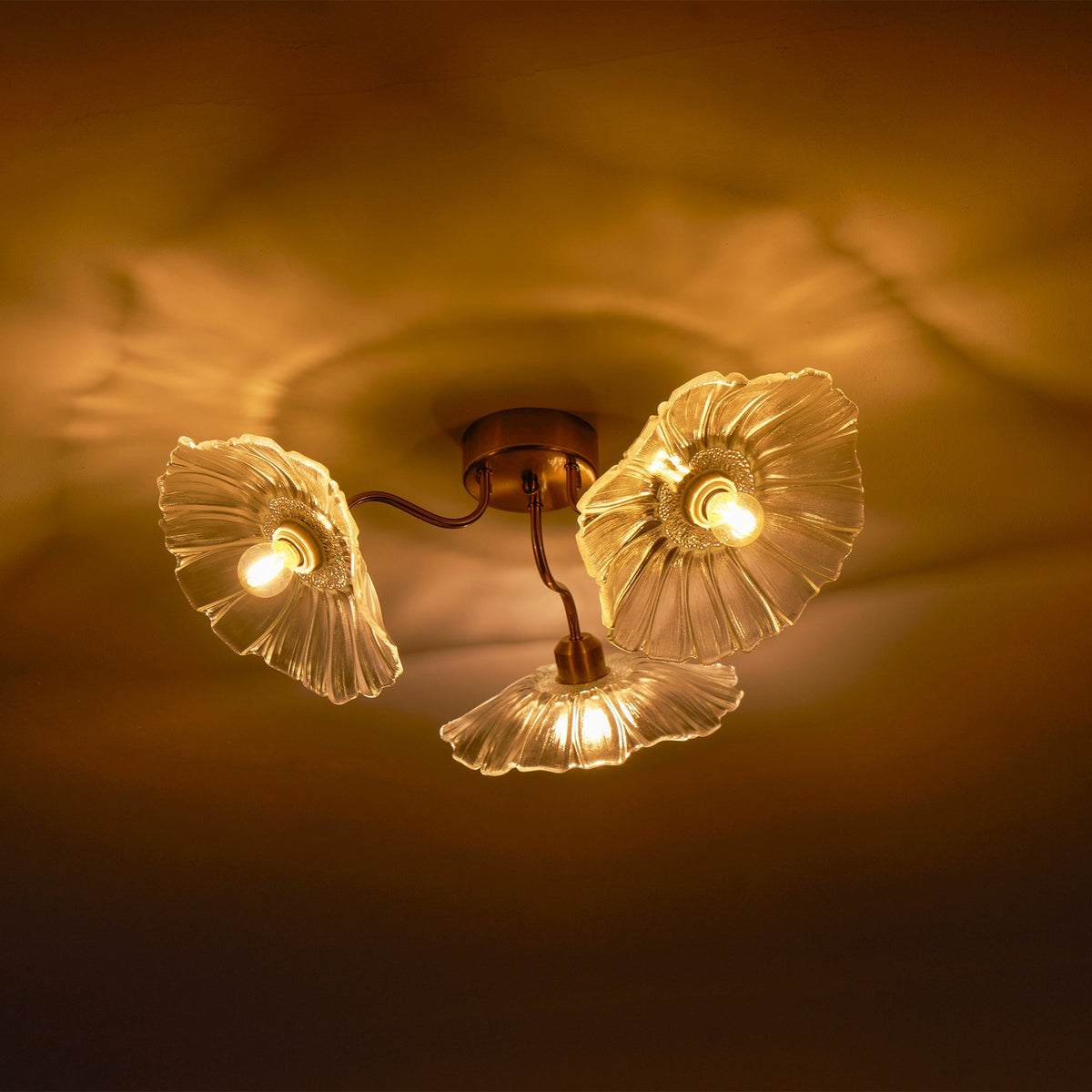 Plavatom Ceiling Light
