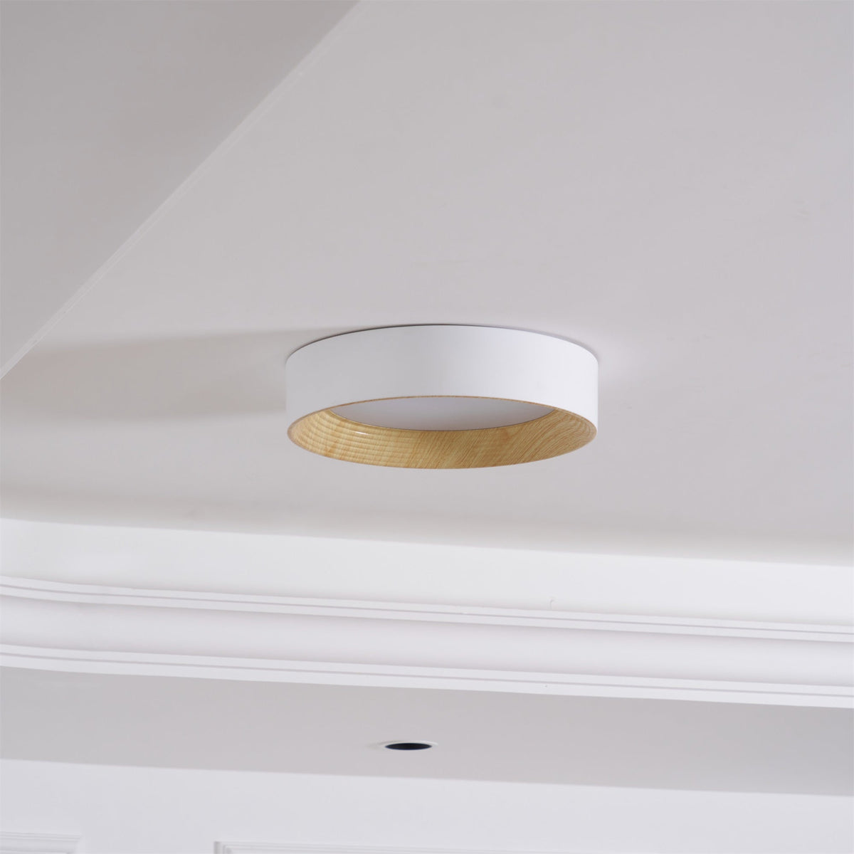 Vipesana Round Ceiling Light