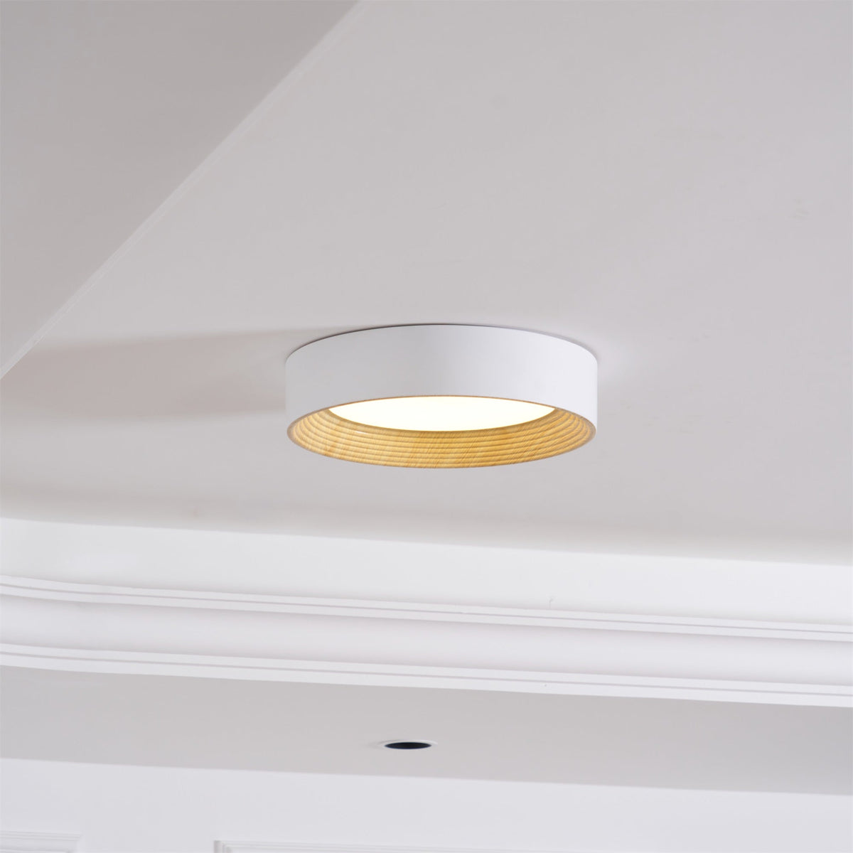 Vipesana Round Ceiling Light