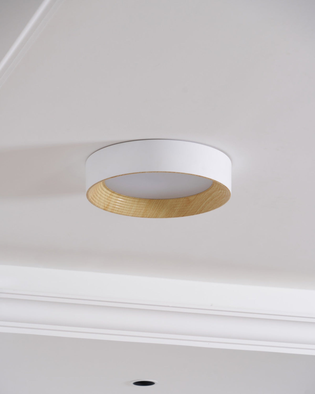 Vipesana Round Ceiling Light