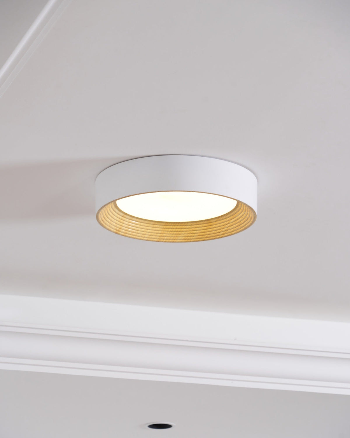 Vipesana Round Ceiling Light