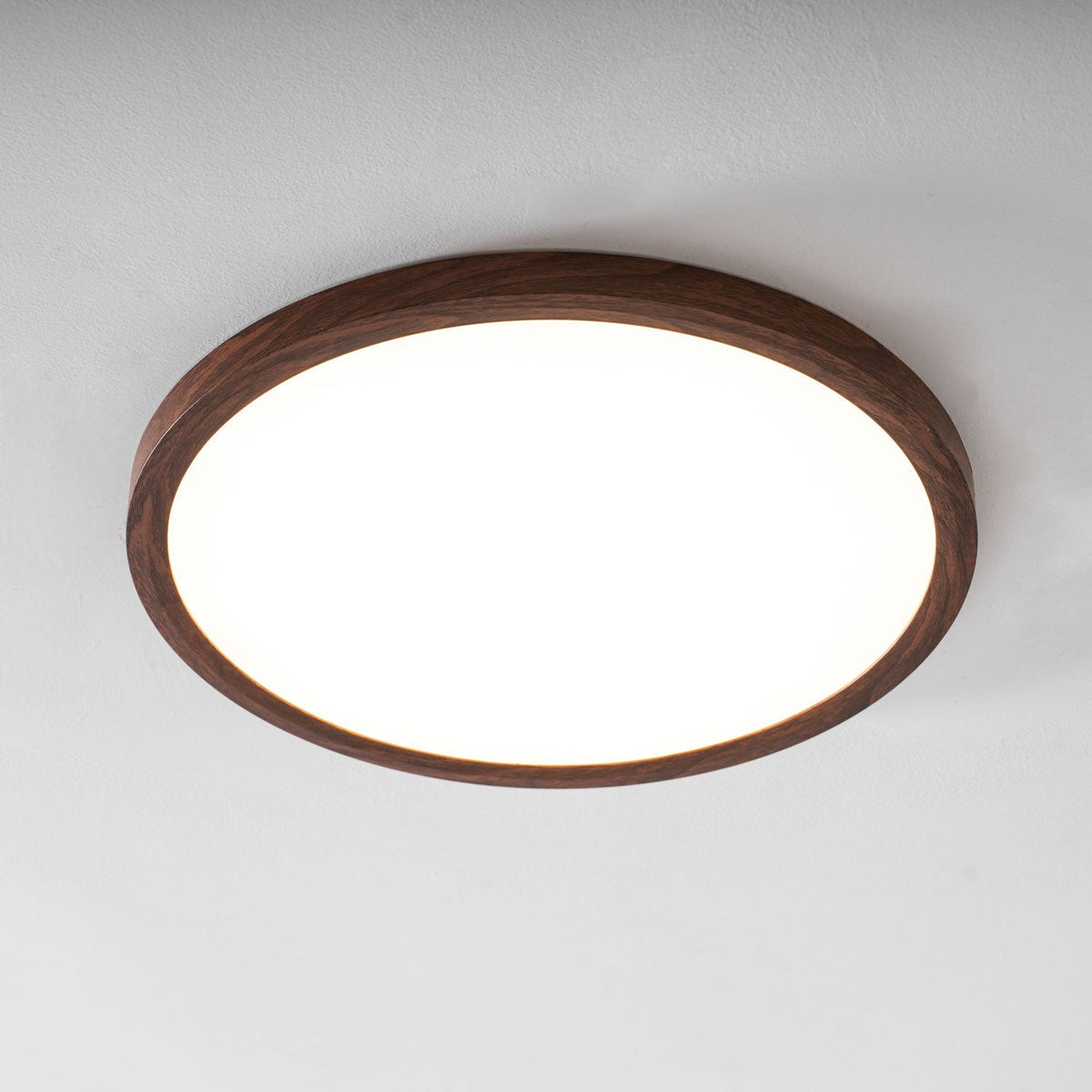 Doltetal Round Ceiling Light