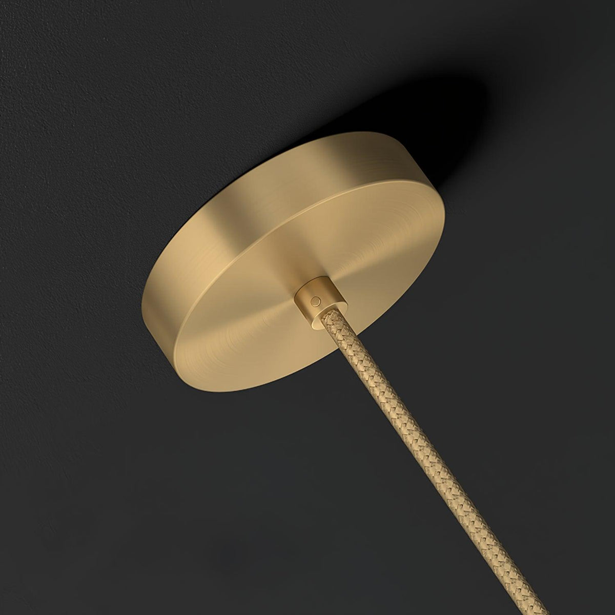 Roruno Globe Pendant Light
