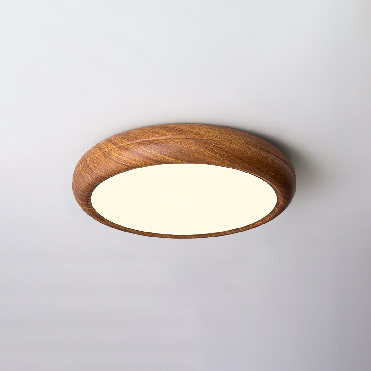 Stevo Outdoor Round Ceiling Light