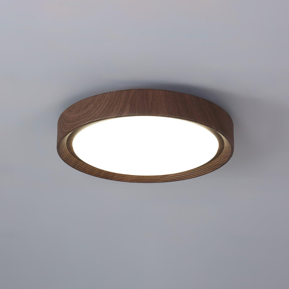 Stevo Outdoor Round Ceiling Light