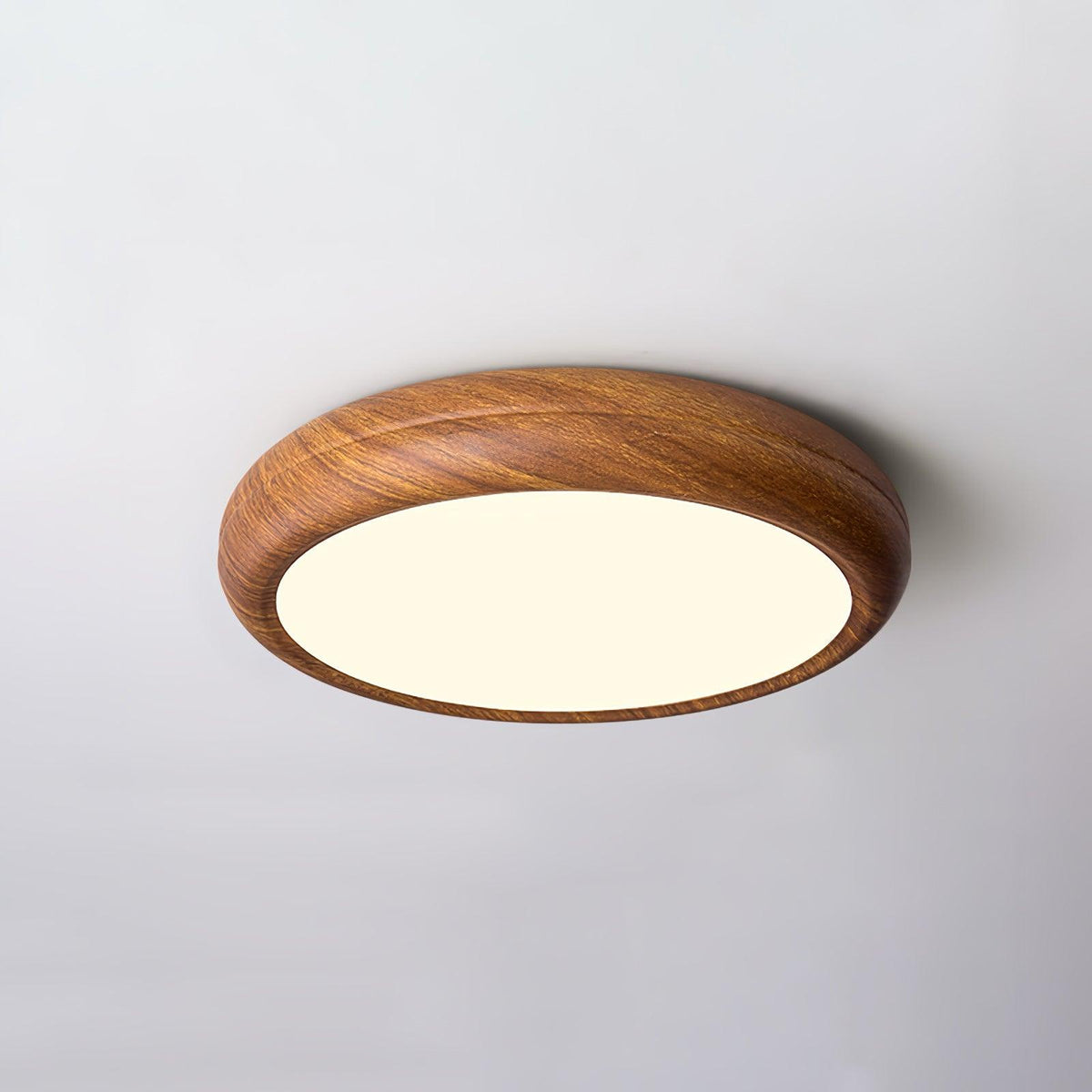 Stevo Outdoor Round Ceiling Light
